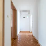 Apartment Antun M *